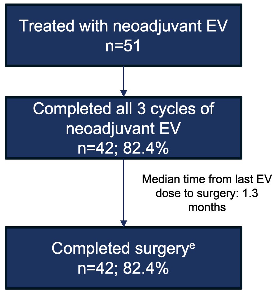 82.4% of patients completed all 3 cycles of neoadjuvant enfortumab vedotin, with all these patients completing surgery within a median time of 1.3 months from the last enfortumab vedotin dose: