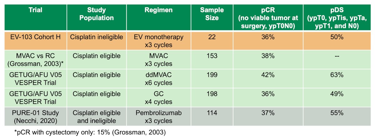 Dr. Petrylak noted that neoadjuvant enfortumab vedotin elicited pathological complete response rates in cisplatin-ineligible patients comparable to cisplatin-based chemotherapy in the cisplatin-eligible setting: