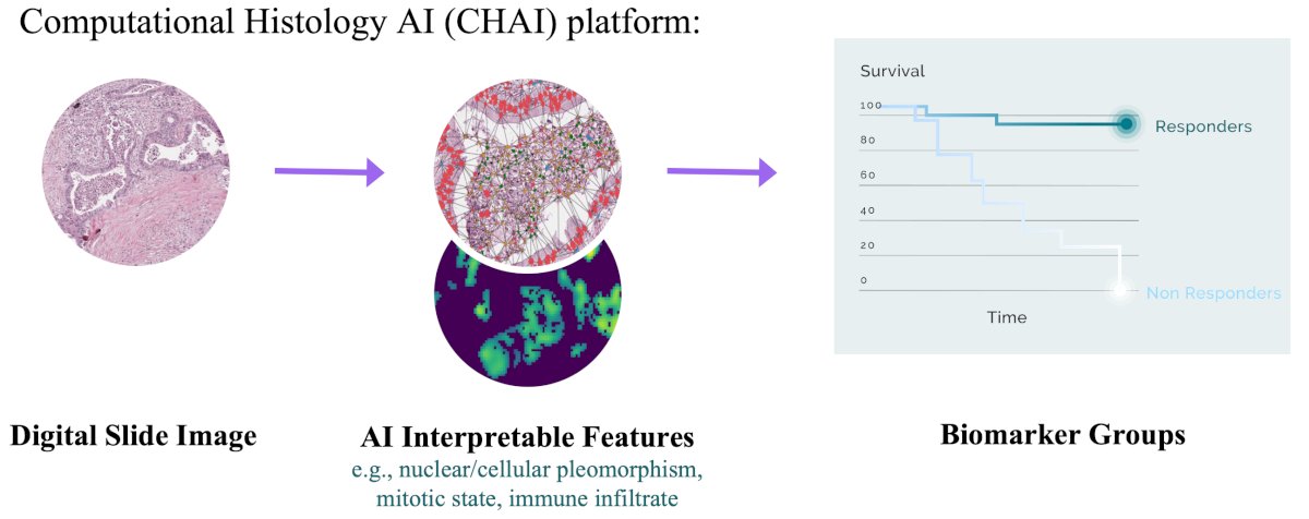 Finally, Dr. Gomella discussed an artificial intelligence platform developed and trained to quantify morphologic features which, combined with key clinical features, create multimodal assays: