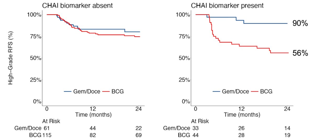 Additionally, the computational histology artificial intelligence biomarker predicts differential treatment benefit: biomarker positive patients have improved high grade recurrence free survival on gemcitabine + docetaxel versus BCG: