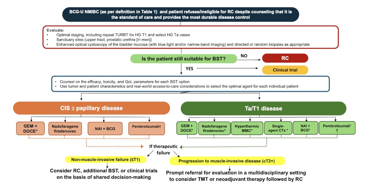 The International Bladder Cancer Group has recently provided recommendations for optimal sequencing and patient selection among patients with BCG unresponsive non muscle invasive bladder cancer.4 For patients with BCG-unresponsive CIS, gemcitabine + docetaxel, nadofaragene firadenovec, and NAI + BCG are recommended; because of its systemic toxicity, pembrolizumab should only be offered after other options are exhausted. For patients with BCG-unresponsive papillary-only tumors, gemcitabine + docetaxel, nadofaragene firadenovec, NAI + BCG, single-agent chemotherapy, hyperthermic mitomycin C, and pembrolizumab are recommended: