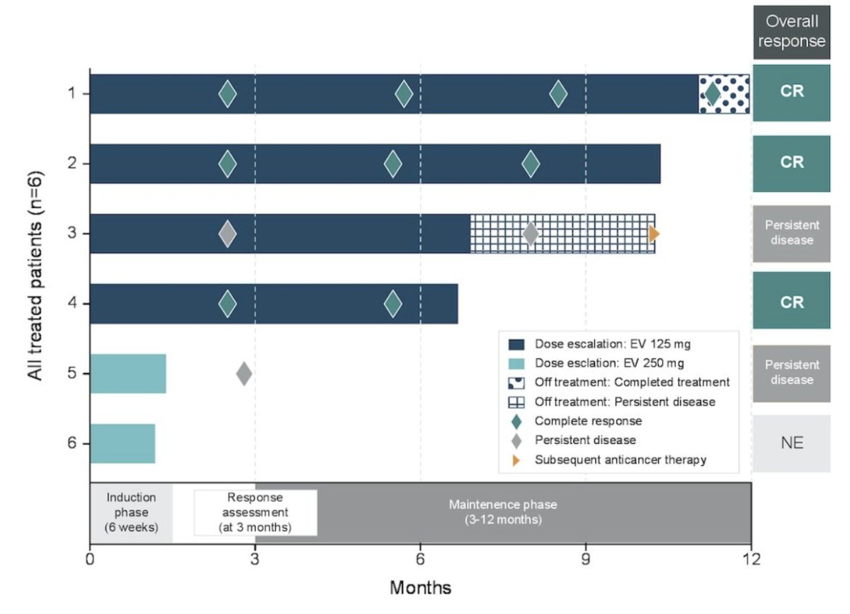 At the time of initial data presentation, among 4 patients receiving 125 mg of intravesical enfortumab vedotin, 3 achieved complete response and continue in response. The fourth patient discontinued treatment due to persistent disease but remains on study: