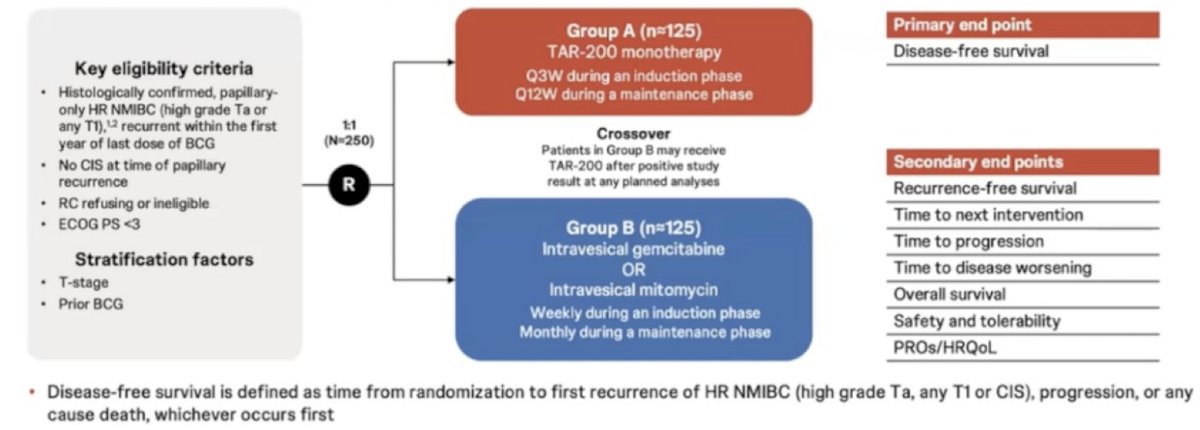 The ongoing SunRISe-5 study, comparing TAR-200 monotherapy to intravesical chemotherapy (gemcitabine or mitomycin C) in patients with BCG-unresponsive or BCG-experienced papillary-only high-risk non muscle invasive bladder cancer, will provide further evidence supporting TAR-200’s potential in this setting