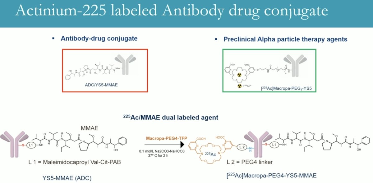 What about using an 225Ac-labeled antibody-drug conjugate that combines the lethal effects of an MMAE and 225Ac in a single agent?&nbsp;