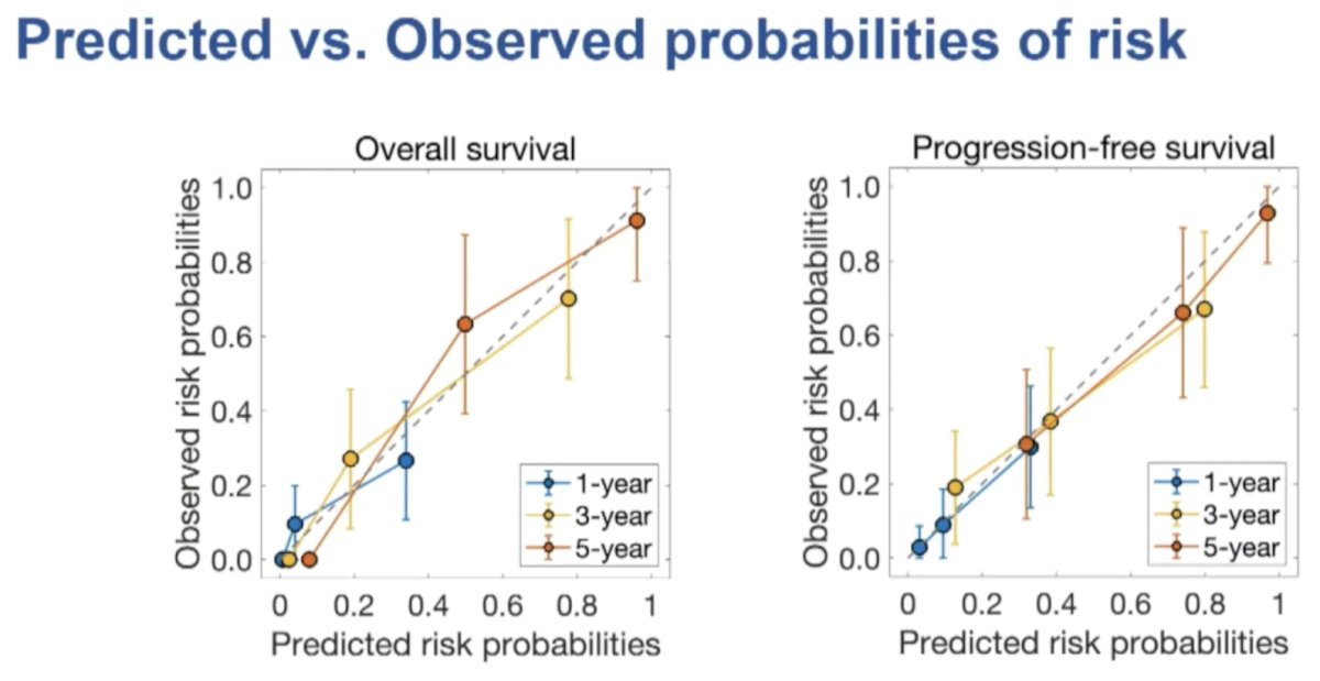 The predicted and observed risk probabilities were well-aligned on calibration plots.