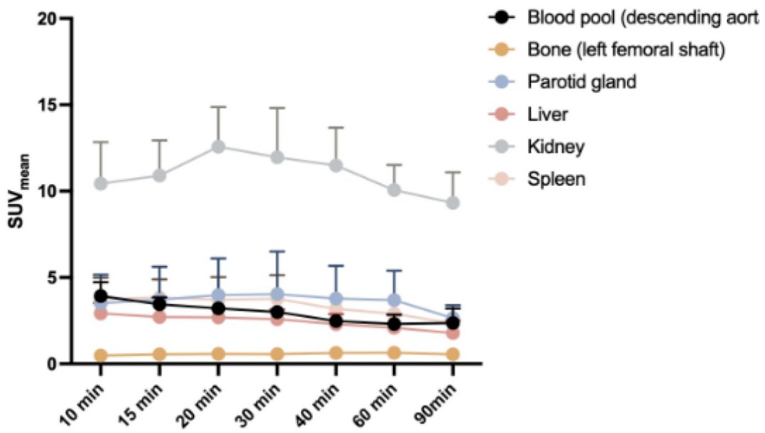Dynamic imaging demonstrated that the uptake of 68Ga-P17-079 in organs remained consistently low, while the tumor-to-blood pool ratio showed early and marked uptake, progressively increasing over time: