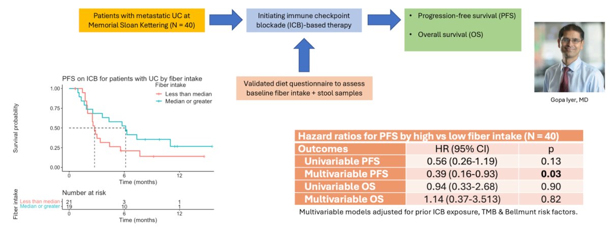 Progression-free survival was longer among patients with higher fiber intake, as shown in the Kaplan-Meier curve. Multivariable analysis, adjusted for prior ICB exposure, tumor mutational burden, and Bellmunt risk factors, showed that higher fiber intake was associated with improved progression-free survival (HR 0.39, 95% CI 0.16–0.93, p = 0.03). No significant difference was observed in overall survival. These findings suggest a potential relationship between diet and immunotherapy response in advanced urothelial cancer.