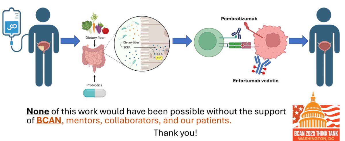 Ultimately, Dr. Guercio and colleagues aim to test their hypotheses in an interventional clinical trial evaluating whether dietary fiber and microbiome modulation through strategies such as increased fiber intake or probiotics can enhance the anti-tumor immune response in patients receiving enfortumab vedotin and pembrolizumab. The concept is grounded in the idea that dietary fiber influences the gut microbiota, which in turn produces immunomodulatory metabolites like short-chain fatty acids that may improve immunotherapy efficacy.