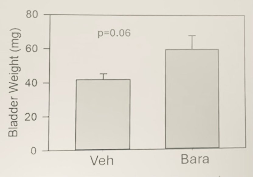 image-4.jpg