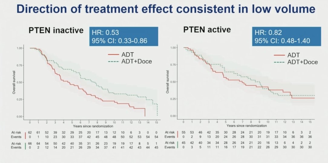 Notably, the direction of treatment effect favoring docetaxel in PTEN-inactive tumors was consistent across both low-volume and high-volume disease subgroups. Regardless of disease burden, PTEN transcriptomic inactivation was consistently predictive of survival benefit with the addition of docetaxel: