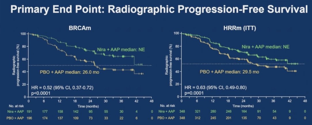 AMPLITUDE met its primary endpoint, demonstrating that the combination of niraparib and abiraterone acetate + prednisone significantly reduced the risk of radiographic progression or death by 48% in the BRCA mutation group (HR 0.52; 95% CI, 0.37–0.72) and by 37% in the broader HRR mutation population (HR 0.63; 95% CI, 0.49–0.80):