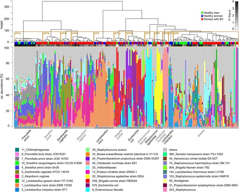 Unlike the gut microbiome, where diet and social interaction shape similarities, the urinary microbiome shows striking interindividual variability (Figure 2).