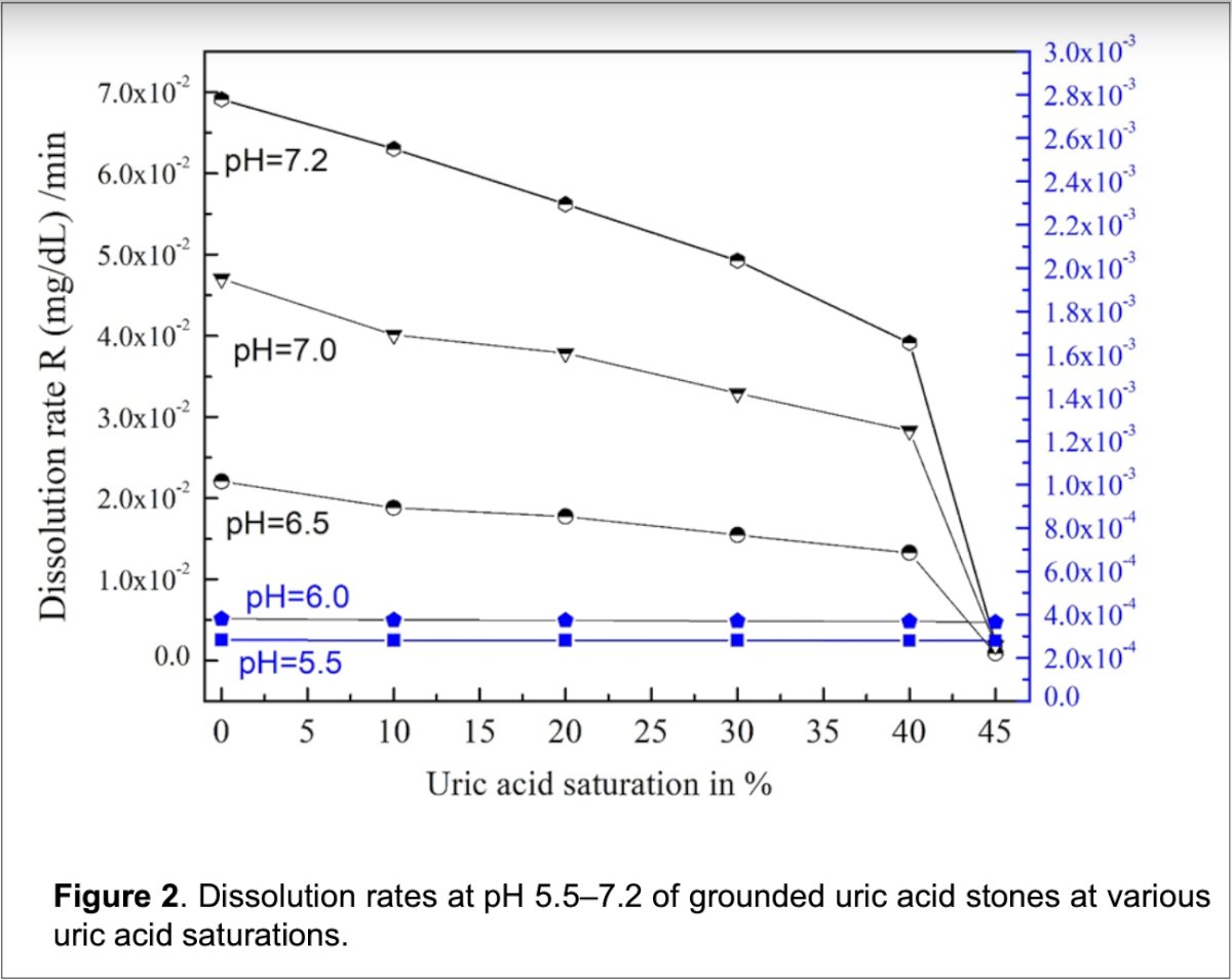 dissolution rates