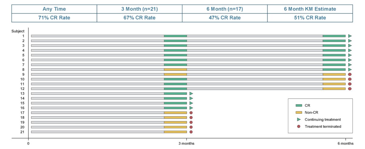 In the efficacy-evaluable population for Cohort 1, the overall complete response rate was 71% (15/21), with a complete response rate of 67% (14/21) at 3 months, and 47% (8/17) at 6 months. The Kaplan-Meier estimate of the 6-month complete response is 51%: