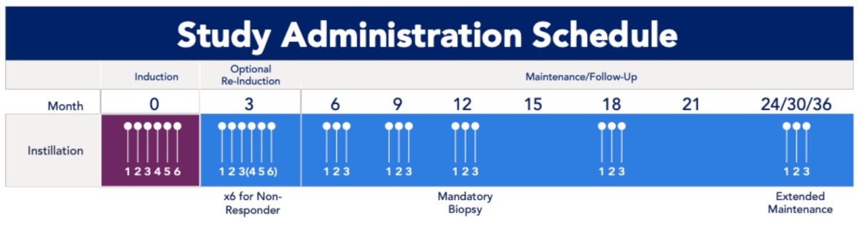 Patients must have no evidence of residual bladder cancer before treatment. Intravesical cretostimogene is instilled in combination with n-dodecyl-β-D-maltoside (DDM), an excipient that enhances adenoviral delivery, for six weekly doses during the induction phase, followed by three weekly maintenance cycles quarterly through month 12, then every six months through month 36