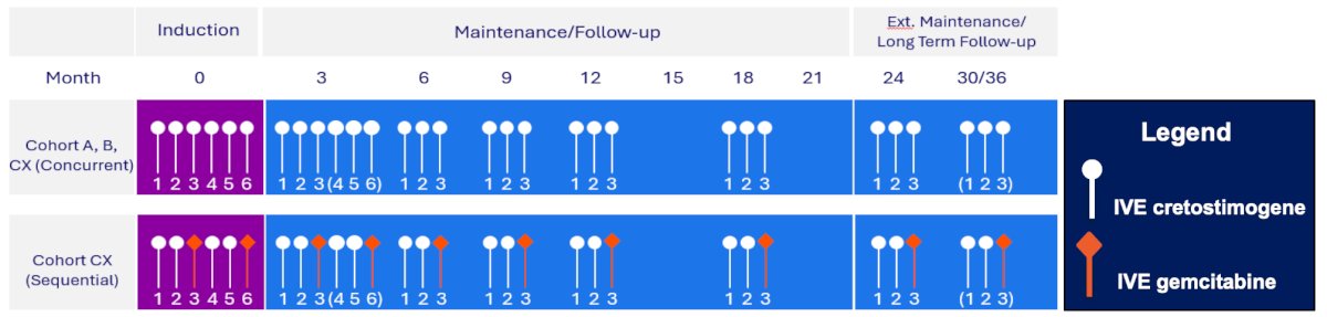 Intravesical cretostimogene will be instilled in combination with n-dodecyl-β-D-maltoside (DDM), an excipient that enhances adenoviral delivery, for six weekly doses during the induction phase, followed by three weekly maintenance cycles quarterly through month 12, then every six months through month 36. Re-induction is permitted: