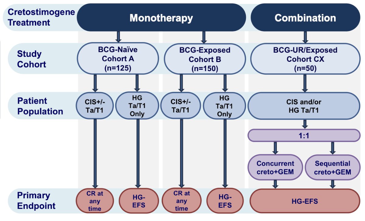 The primary endpoint for the CIS population is complete response at any time, and high grade event free survival is the primary endpoint for patients with papillary-only disease
