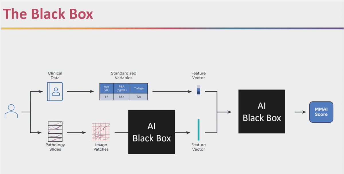 Dr. Sutera emphasized the importance of opening the “black box” of MMAI. The first black box reflects the AI model interpreting pathology image patches, and the second integrates these image-derived features with clinical data to generate the final MMAI score. He noted three key reasons for looking inside: first, to provide clinicians confidence that the AI’s predictions are rooted in interpretable biology rather than “smoke and mirrors”; second, to reveal underappreciated aspects of prostate cancer biology and mechanisms of metastasis; and third, to satisfy a natural scientific curiosity in better understanding how these features drive outcomes.