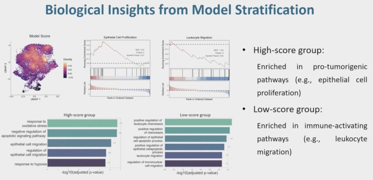 In the abstract presentation by Li et al, the study investigators combined bulk and single cell RNA sequencing analysis of MIBC cohorts to identify genes associated with progression-free survival in a TMT cohort. They identified 18 radiation-responsive genes associated with progression-free survival. Blad-RadPI integrated the radiation-responsive genes and radiosensitivity index (RSI)-related biomarkers. Using Blad-RadPI, they stratified patients into high- and low-score groups with the high-score group enriched in pro-tumorigenic pathways (e.g., epithelial cell proliferation), whereas the low-score group was enriched in immune-activating pathways (e.g., leukocyte migration).