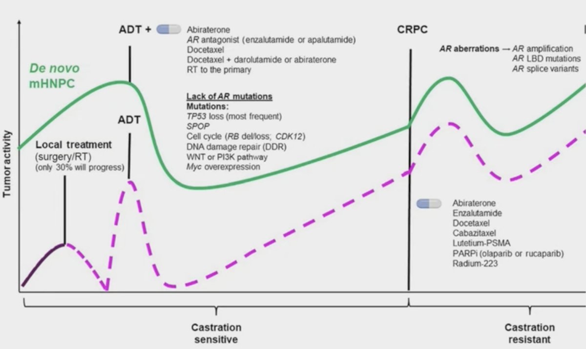 (UroToday.com) The 2025 ASTRO annual meeting featured a metastatic prostate cancer session and a discussant presentation by Dr. Comron Hassanzadeh. Dr. Hassanzadeh started his presentation by highlighting the metastatic prostate cancer disease spectrum:&nbsp;