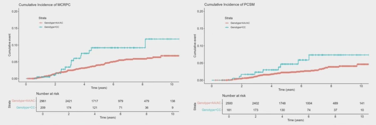 Additionally, the homozygous adrenal-permissive genotype also demonstrated an increased risk of time to mCRPC (HR 1.98, 95% CI 1.12-3.41, p = 0.018), but not time to prostate cancer-specific mortality (HR 1.80, 95% CI 0.88-3.71, p = 0.109) compared to the heterozygous adrenal-permissive/homozygous adrenal-restrictive genotypes:&nbsp;