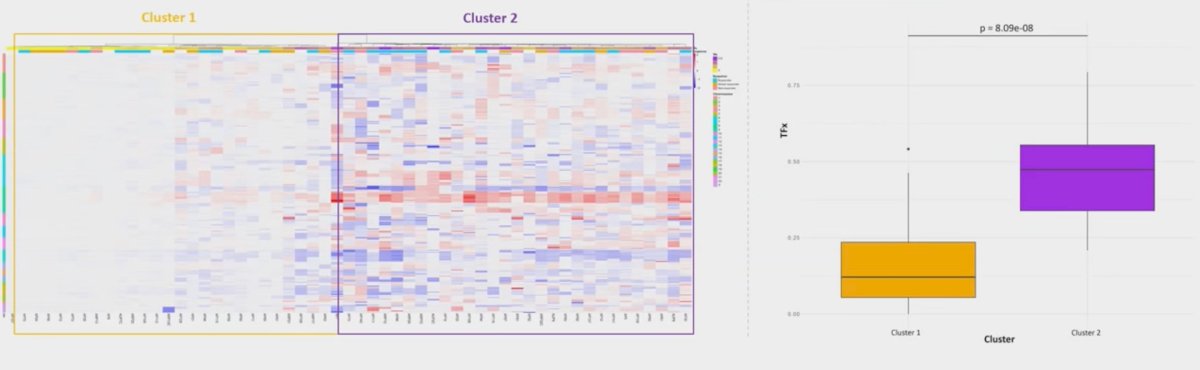 Hierarchical clustering of logR values for copy number alterations across the whole genome identified two distinct patient clusters: Cluster 1, with lower tumor fraction values and a low copy number variant burden, and Cluster 2, with higher tumor fraction values and an increased copy number variant burden (p = 8.09e-08):