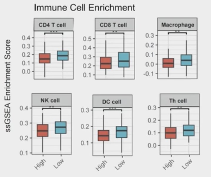 Validation in 401 bulk samples demonstrated that there were significant immune infiltration differences by the Blad-RadPI stratification with the high Blad-RadPI group demonstrating significantly lower immune cell infiltration.