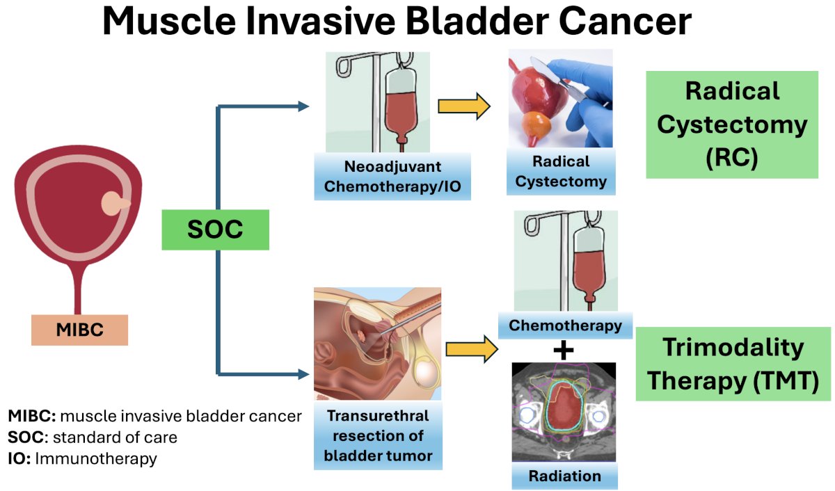 Dr. Zhao noted that the current standard of care options for patients with muscle-invasive bladder cancer (MIBC) are:
