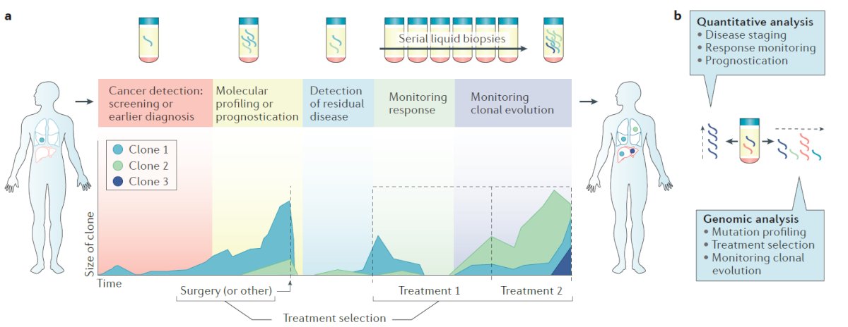 ctDNA refers to tumor-derived fragments of DNA that are released into the bloodstream and can potentially allow for: