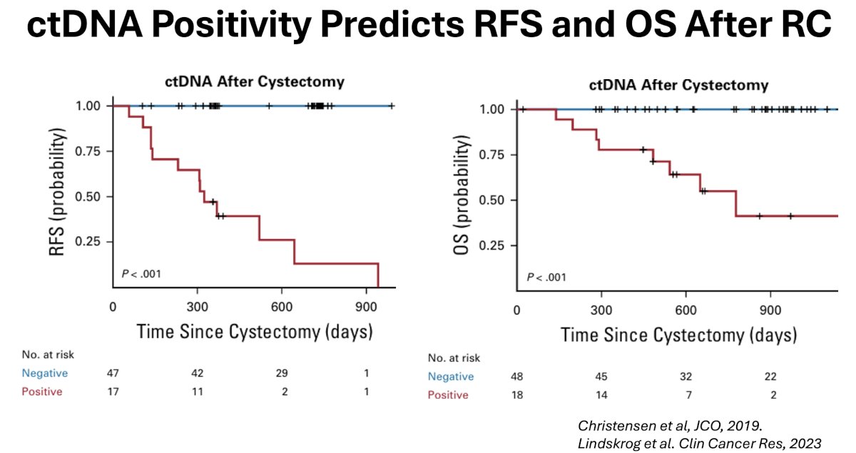 Prior studies have demonstrated that ctDNA positivity predicts recurrence-free and overall survivals following radical cystectomy.2,3