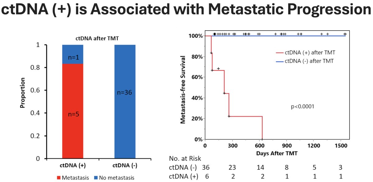 The Kaplan Meier estimated 1-year post-TMT metastasis-free survivals in the ctDNA(+) and ctDNA(-) groups were 22% and 100%, respectively.&nbsp;