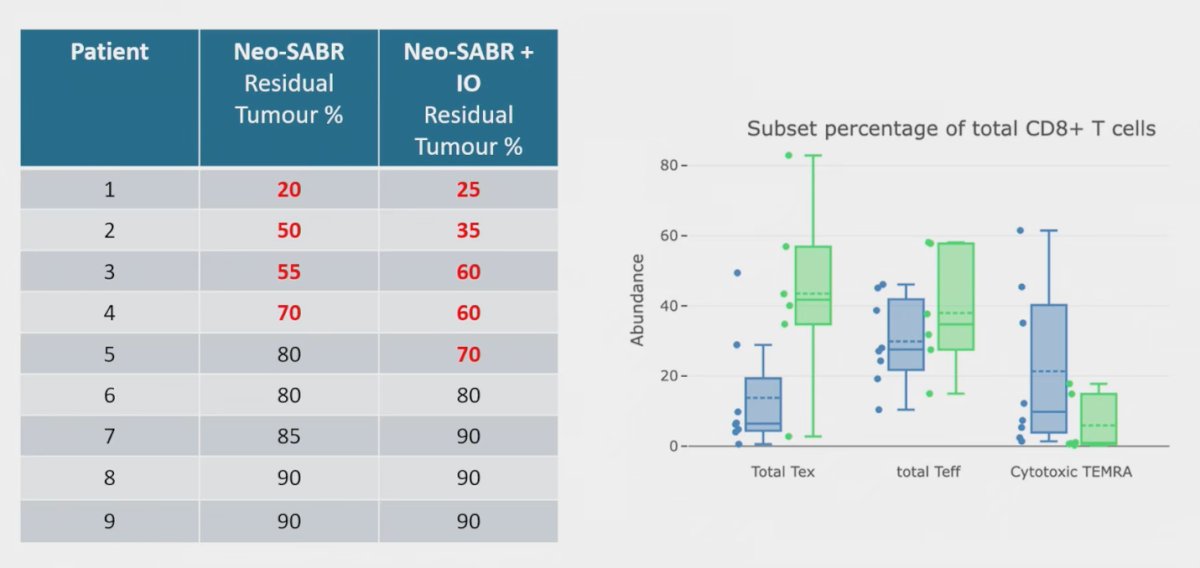 Unlike in other malignancies, complete histologic tumor clearance is rarely observed in RCC. In NAPSTER, residual tumor was present in nearly all patients, regardless of whether they received SABR alone or in combination with pembrolizumab. However, early immune correlates suggested biological activity, with increases in CD8+ T-cell subsets, including effector and exhausted populations, in patients receiving combined therapy. These findings indicate that while SABR ± IO may not induce total histologic regression, it may prime the immune microenvironment and warrant further investigation.