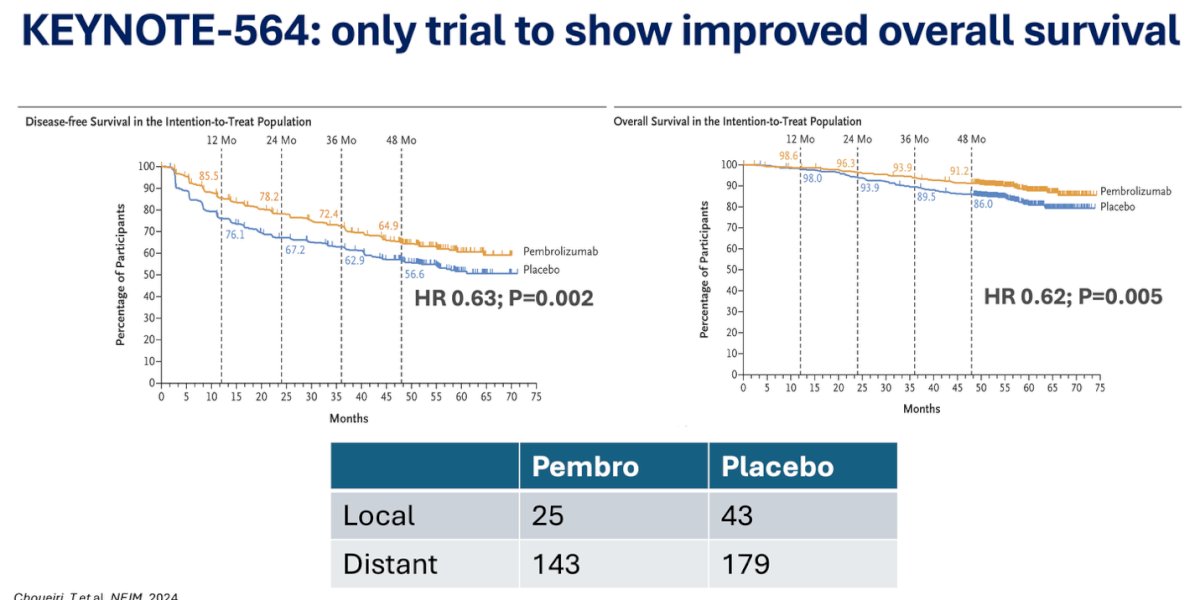 image-1.jpg