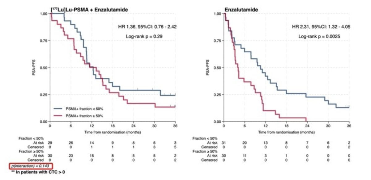 Rates of nuclear AR-V7 positivity were low overall, precluding further meaningful analysis, and there were no associations with treatment outcomes were seen for Day 92 or progression analyses. There were 122 PSA progression events that occurred (69 enzalutamide, 53 enzalutamide + 177Lu-PSMA-617 arm) at a median follow-up of 34 months (95% CI 32-36). Median PSA progression-free survival was 11 (95% CI 9-11), 8 (95% CI 4-10), and 13 months (95% CI 11-17) for the overall survival analysis, in the enzalutamide, and enzalutamide + 177Lu-PSMA-617 arms, respectively. In patients with detectable CTCs, a PSMA+ fraction ≥ 50% versus <50% was associated with shorter PSA progression free survival in the enzalutamide arm (HR 2.31, 95% CI 1.32-4.02), but was not demonstrated in the enzalutamide + 177Lu-PSMA-617 arm (HR 1.36, 95% CI 0.76-2.42), indicating the effect of high PSMA+ CTC fraction is modified by the addition of 177Lu-PSMA-617:
