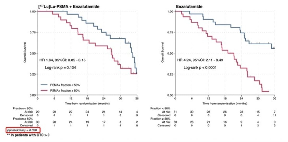 There were 91 deaths that occurred (50 in the enzalutamide arm, 41 in the enzalutamide + 177Lu-PSMA-617 arm), with a median overall survival of 26 months (95% CI 22-31) and 33 months (95% CI 27-35) in the enzalutamide and enzalutamide + 177Lu-PSMA-617 arms, respectively. In patients with detectable CTCs, a PSMA+ fraction ≥ 50% versus <50% was associated with shorter overall survival in the enzalutamide arm (HR 4.24, 95% CI 2.11-8.49), but was not demonstrated in the enzalutamide + 177Lu-PSMA-617 arm (HR 1.64, 95% CI 0.85-3.15), indicating the effect of high PSMA+ CTC fraction is modified by the addition of 177Lu-PSMA-617: