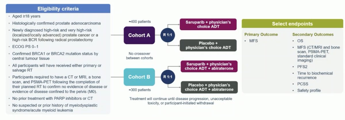 Second, the EvoPAR-PRO2 trial is an ongoing trial assess saruparib + androgen receptor pathway inhibitor in the high risk localized setting, with a primary outcome of metastasis free survival: