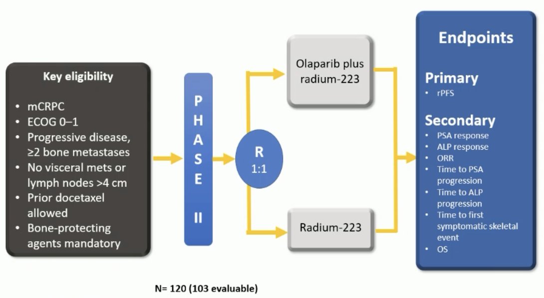 PARP inhibitors and other combinations have also recently been explored, notably olaparib + radium-223 in the COMRADE trial, first presented by Dr. Rana McKay at ASCO 2025: