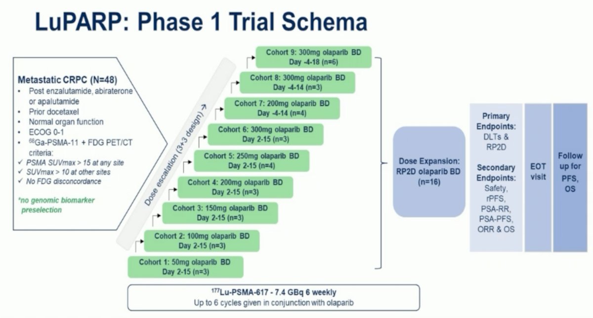 The LuPARP phase 1 trial assessed 177Lu-PSMA-617 + increasing doses of olaparib in patients with mCRPC: