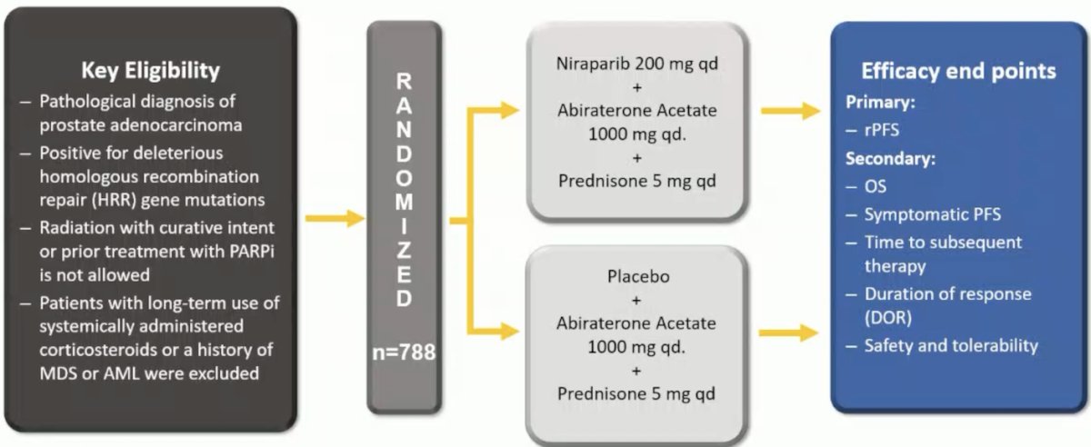 Moving to the mHSPC disease space, the AMPLITUDE phase 3 trial assessed niraparib + abiraterone + ADT versus placebo + abiraterone + ADT, with a primary endpoint of rPFS: