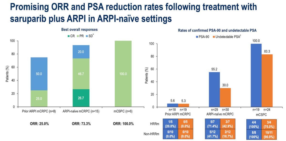 Lastly, Dr. Azad highlighted that saruparib combined with an ARPI demonstrated encouraging efficacy, particularly in ARPI-naïve patients. The objective response rate (ORR) reached 73.3% in ARPI-naïve mCRPC and 100% in mCSPC, compared with 25% in patients previously treated with an ARPI. Similarly, confirmed PSA90 and undetectable PSA responses were achieved in 55.2% and 30% of ARPI-naïve mCRPC patients, and in 100% and 83.3% of those with mCSPC, respectively.