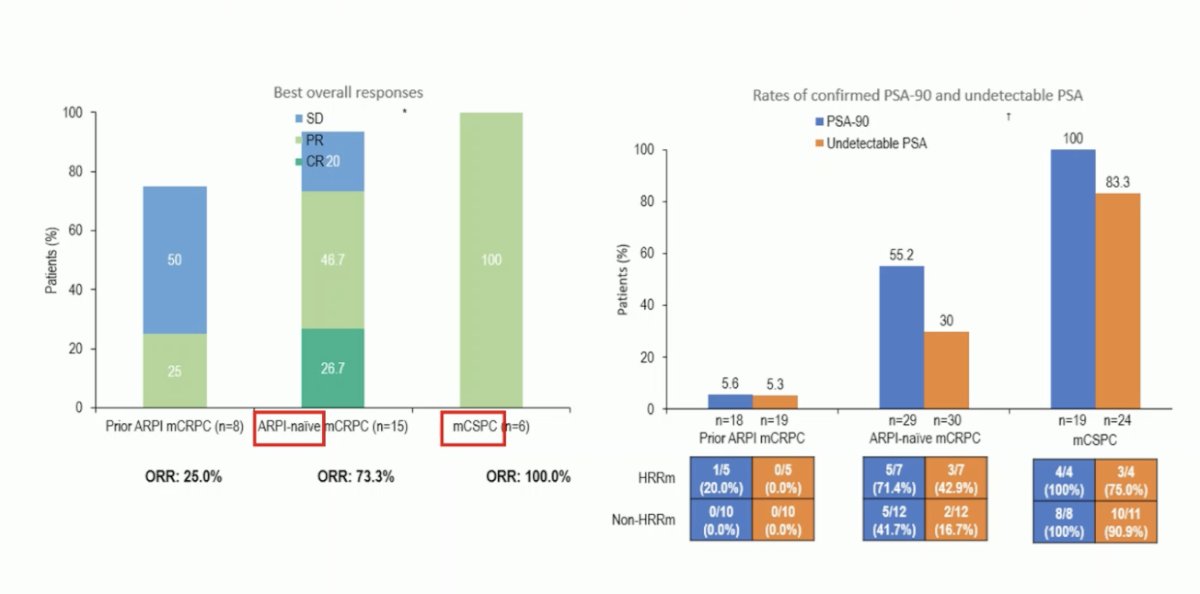 Regarding PSA dynamics, Dr. Rescigno highlighted that among patients treated with saruparib, a high proportion achieved meaningful biochemical responses. Specifically, 83% of patients in the mCSPC cohort reached an undetectable PSA (≤0.2 ng/mL), while PSA-90 responses were observed in 100% of these patients.