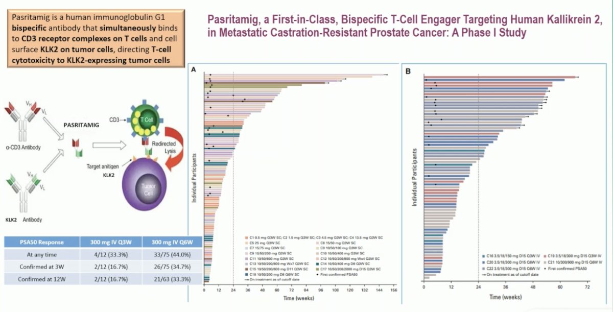 Pasritamig is a first-in-class bispecific T-cell engager antibody that simultaneously binds to CD3 receptor complexes on T cells and to KLK2 on tumor cells, redirecting T-cell cytotoxicity toward KLK2-expressing prostate cancer cells. In the phase I JCO-published study, different dosing schedules were evaluated, and patients receiving the 300 mg IV every 6 weeks regimen tended to remain on treatment longer compared to those on the every-3-weeks schedule. (4) This suggests a potentially more tolerable and sustainable dosing approach, supporting further investigation of this novel immunotherapeutic strategy in advanced prostate cancer.