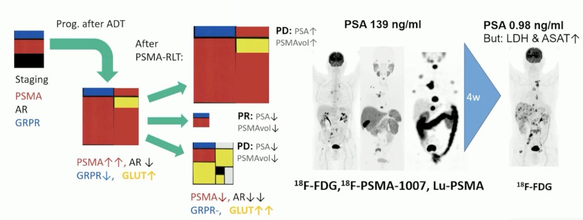 image-5.jpg