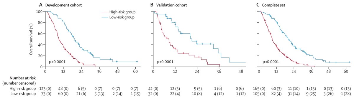 Which was similar to the C-index of the PSA-progression-free survival model (0.70, 95% CI 0.68-0.72). Compared with high-risk patients, low-risk patients had significantly longer overall survival in the validation cohort (24.9 months versus 7.4 months; p < 0.0001):