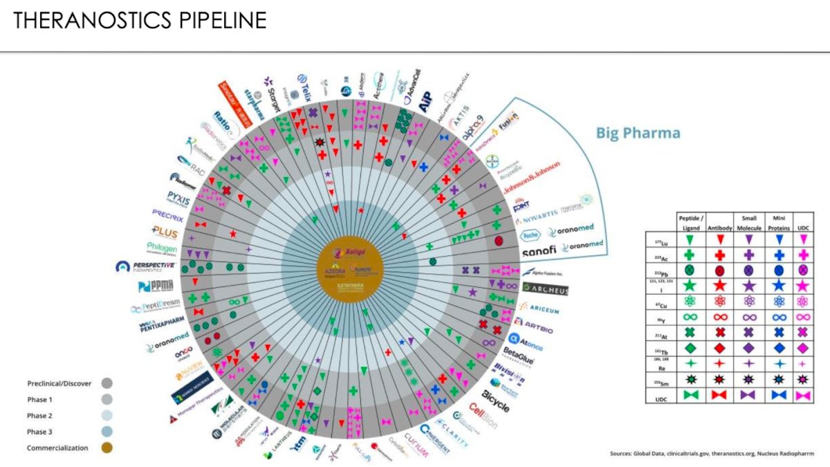 The theranostics pipeline has grown exponentially, reflecting the rapid expansion and diversification of agents under development. Multiple pharmaceutical companies both large and emerging are now engaged in preclinical and clinical programs targeting a broad range of isotopes and molecular platforms, including peptides, antibodies, small molecules, and mini proteins.