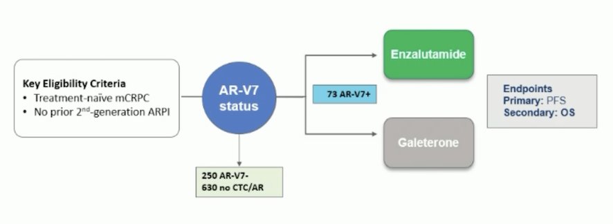 Dr. Bernard-Tessier notes that over the last several years, we have elucidated specific androgen receptor targeting opportunities of these alterations. With regards to targeting splice variants, galeterone (an inhibitor of CYP17) was assessed in the ARMOR3-SV phase III trial, randomizing AR-V7 positive patients to enzalutamide versus galeterone: