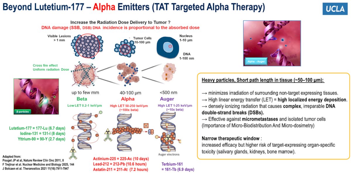 Beyond Lutetium-177, Dr. Calais then reviewed the physical properties of therapeutic radioisotopes used in PSMA-targeted radioligand therapy. Lutetium-177 primarily emits beta particles, which deliver a lower energy deposition distributed across multiple cells, creating a crossfire effect. In contrast, alpha emitters and Auger electrons have a much higher linear energy transfer, 10 to 100 times greater than beta particles, delivering concentrated radiation over a few nanometers, at the level of the cell nucleus. This localized, high-energy deposition induces complex and irreparable DNA double-strand breaks, enhancing the potential to eradicate micrometastatic disease. Preclinical studies have demonstrated that while Lu177-PSMA monotherapy struggles to effectively target microscopic disease, actinium-based alpha emitters or Lu177 combined with AcPSMA achieve more complete tumor control. Importantly, Dr. Calais emphasized that micro-biodistribution and micro-dosimetry are critical determinants of efficacy, particularly for microscopic disease, while also noting the narrower therapeutic window and potential for organ-specific toxicity associated with alpha emitters.
