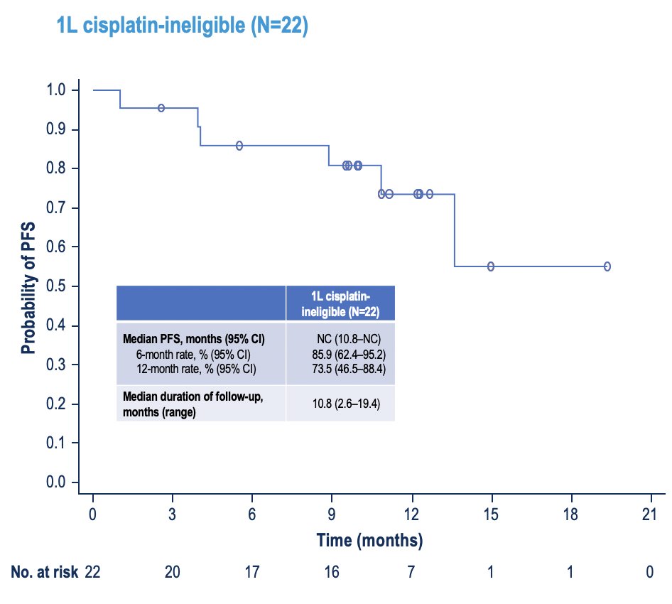 The median duration of response and median progression-free survival were not reached: