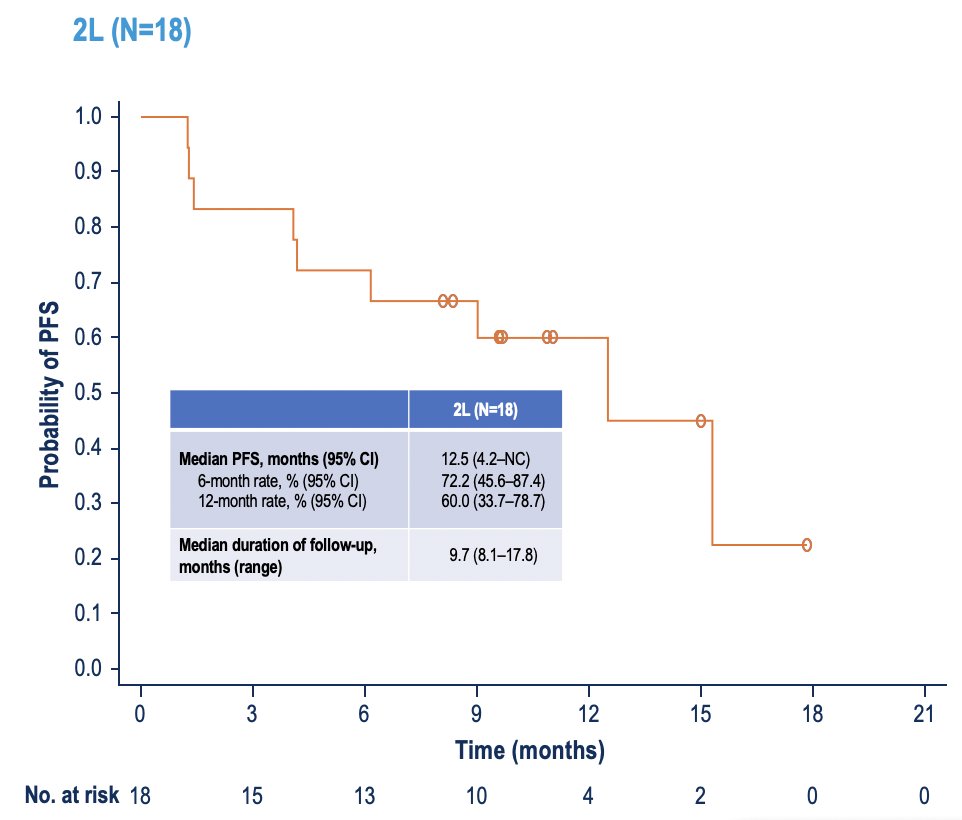 The median duration of response was not reached, and the median progression-free survival was 12.5 months (95% CI 4.2 to not reached):