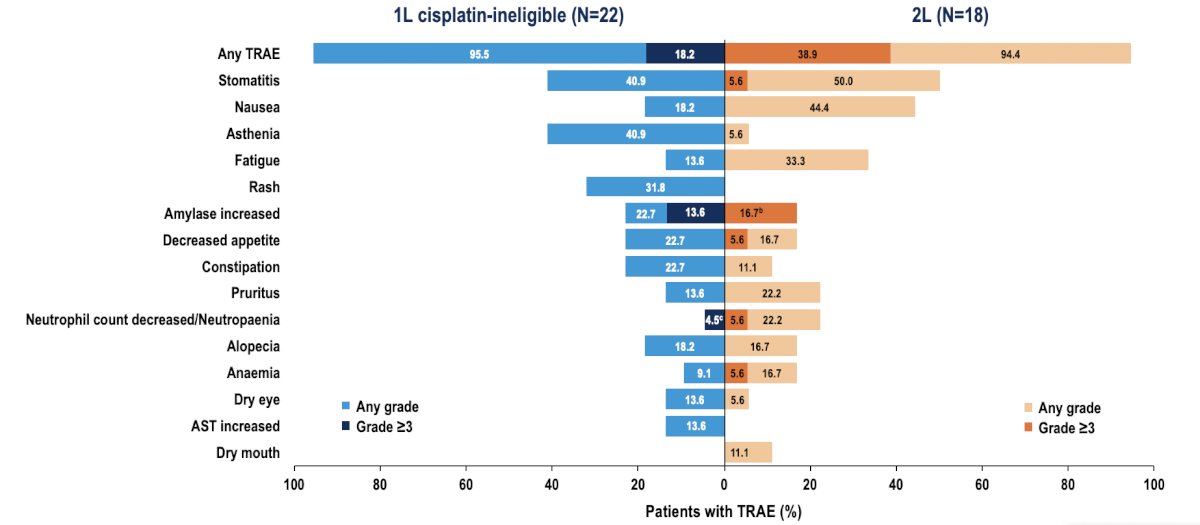 The most common treatment-related adverse events were stomatitis, nausea, and asthenia: